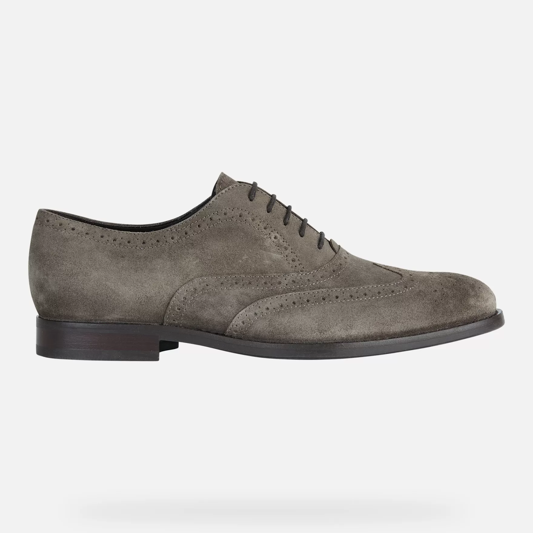 Homme Geox Chaussures Habillées<Hampstead Homme